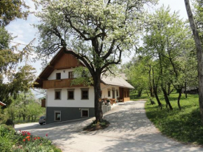 Farm Stay Dolinar Krainer Bohinjska Bistrica